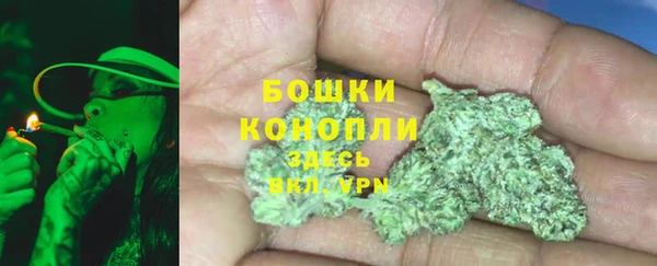 СК Тайга