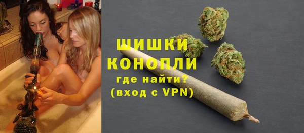 СК Тайга