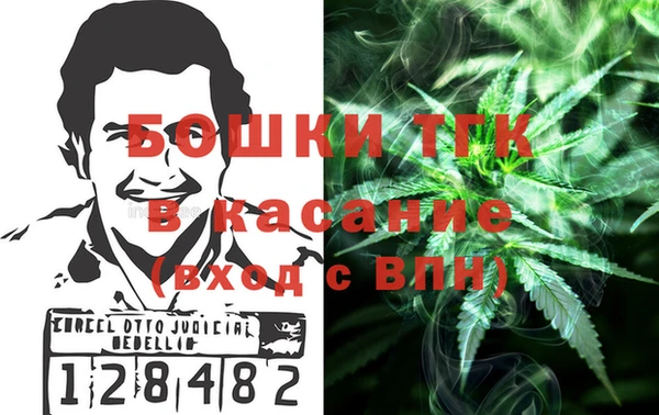 СК Тайга