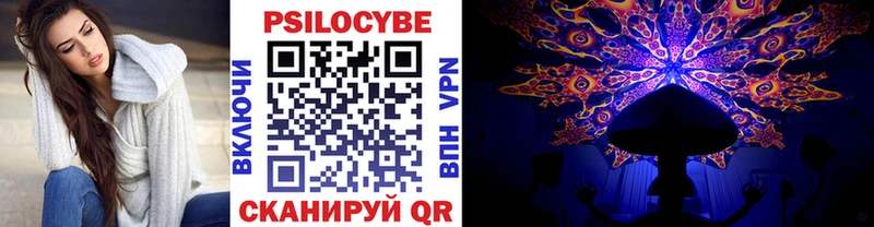 наркота  Ясногорск  Псилоцибиновые грибы Cubensis 